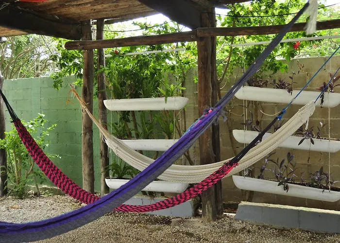 Lobo Inn Tulum *